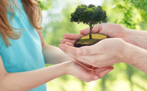 testamento solidario