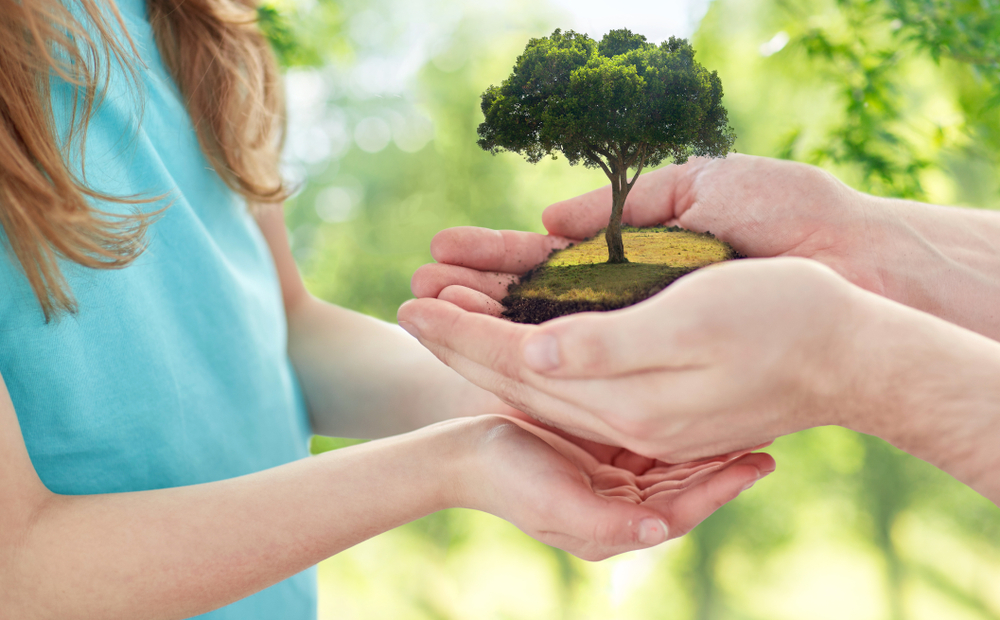 testamento solidario