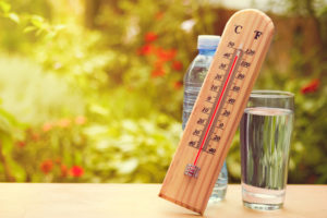 mayores en verano