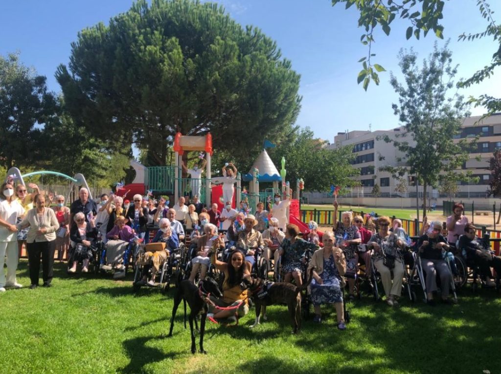 Amavir Torrejón de Ardoz