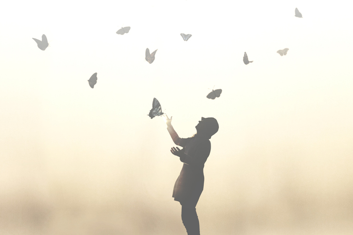 butterfly