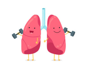 pulmones