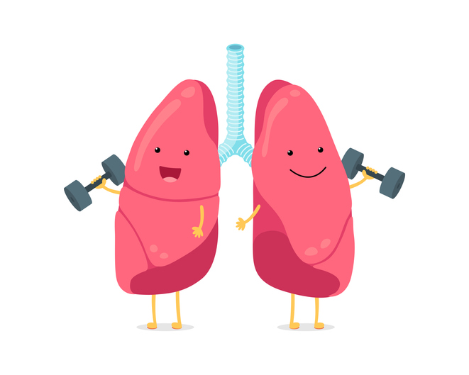 pulmones