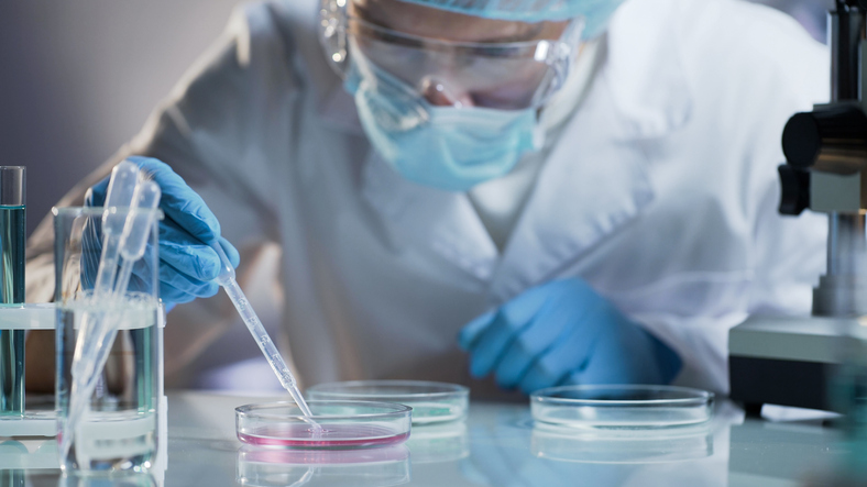 investigación