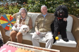 mayores con perros