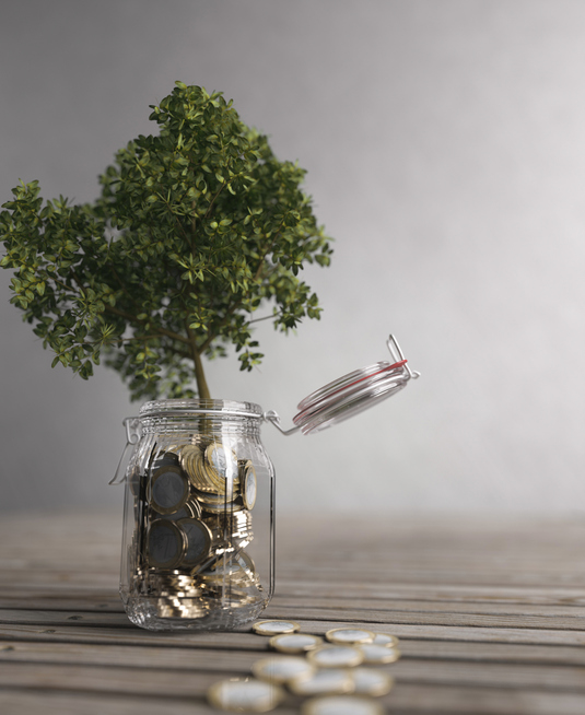 servicios financieros