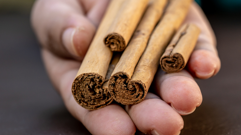 historia de la canela 