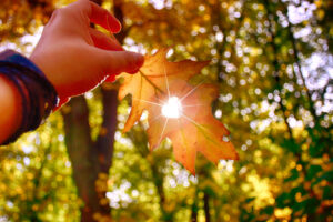 saludar al otoño