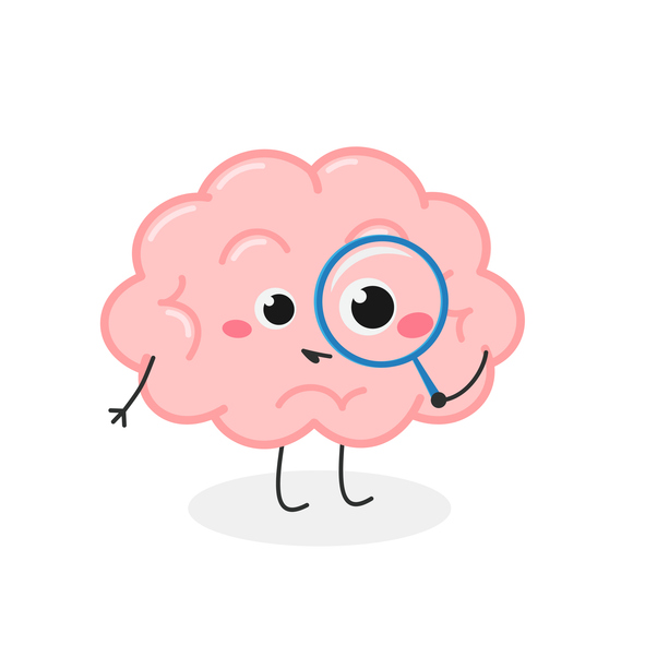 mini cerebros