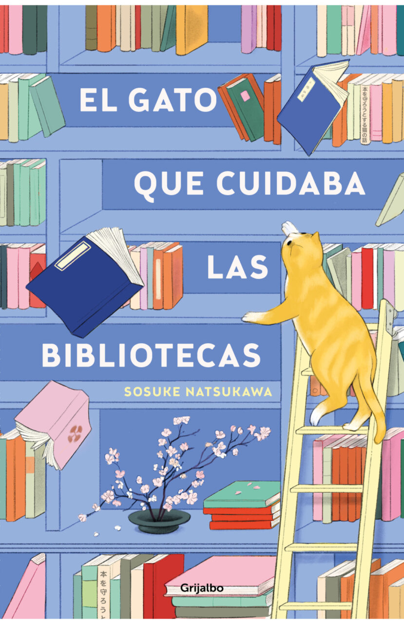 gato y libros