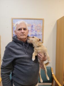 Amavir terapia con animales1