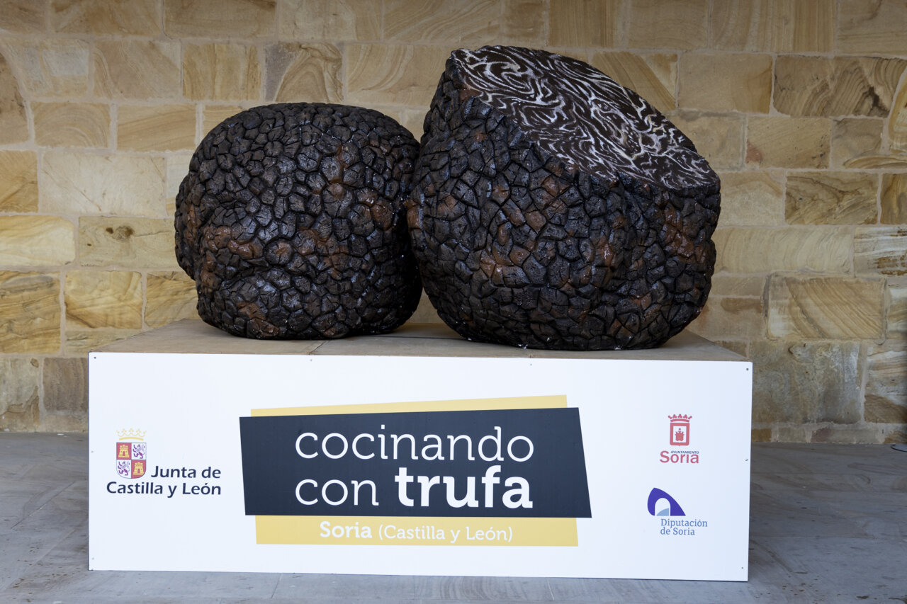 trufa 