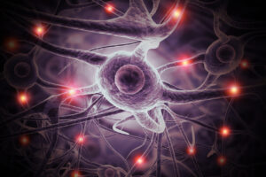 neuronas