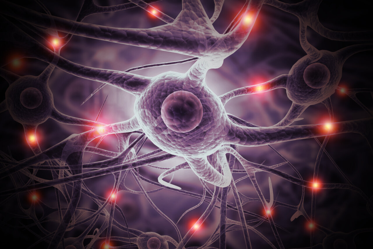 neuronas