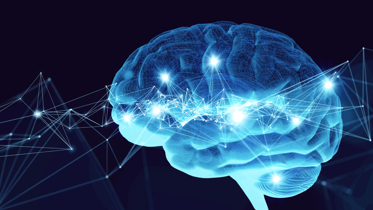 cerebro
