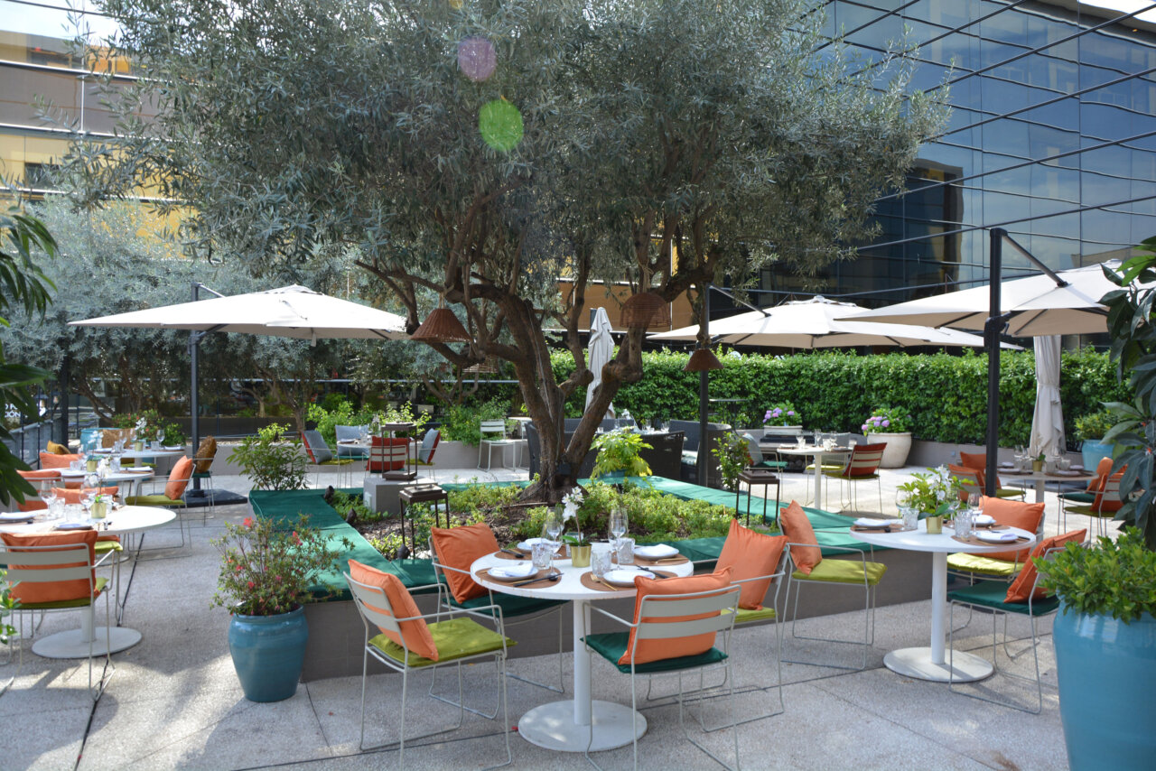 terraza 