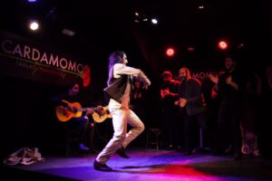 Bailaor realizando un espectáculo de flamenco en un tablao