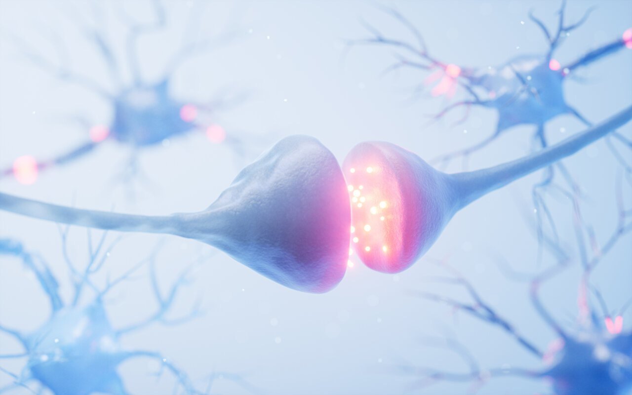 Representación de neuronas y sinapsis en el cerebro humano