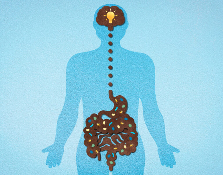 microbiota